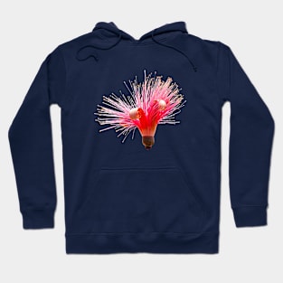 Single Shaving brush flower Hoodie